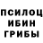Шишки марихуана ГИДРОПОН SBK Peace