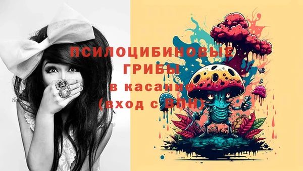 мет Новодвинск