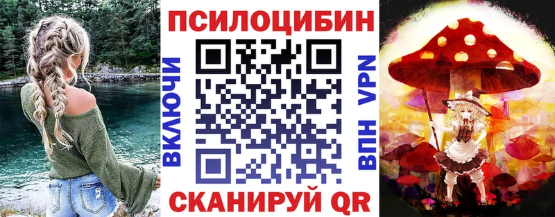 Псилоцибиновые грибы Psilocybe  даркнет официальный сайт  Струнино 